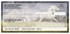 Hautman Brothers Wild Horses Checks Image 4