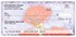 Gail Marie Colorful Blooms Checks Image 4