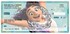 Encanto Checks Image 1